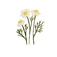 Habit sticker, flower