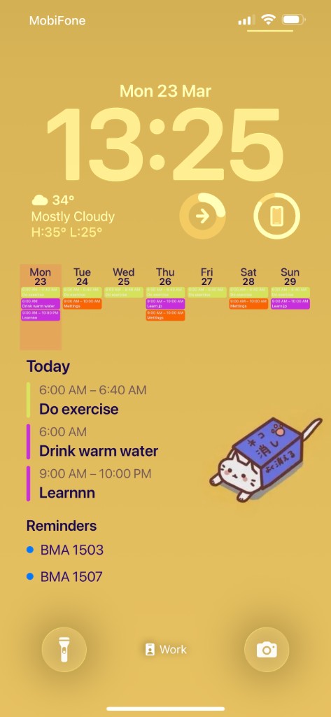 Today list on the Lock Screen